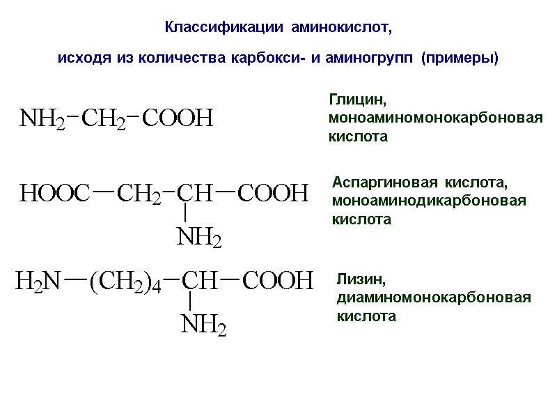 Классификации аминокислот,  исходя из количества карбокси- и аминогрупп (примеры)  Глицин,  моноаминомонокарбоновая